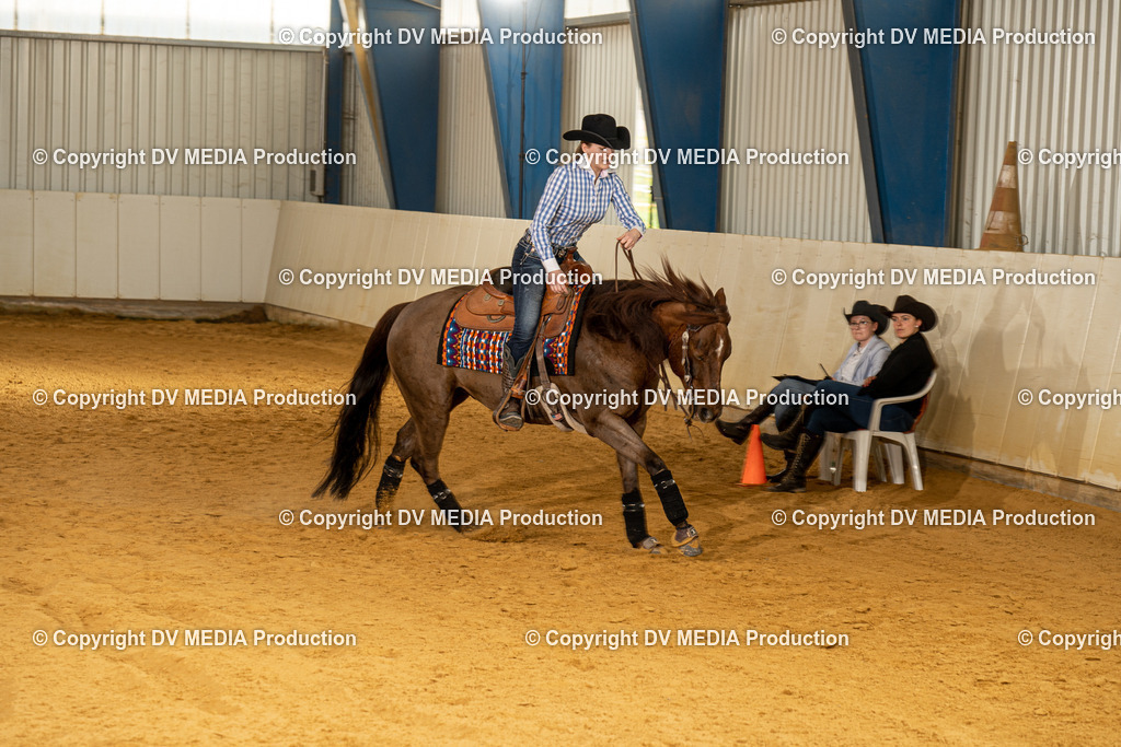 MIT00275 | dv-media-shop - Realisiert mit Pictrs.com