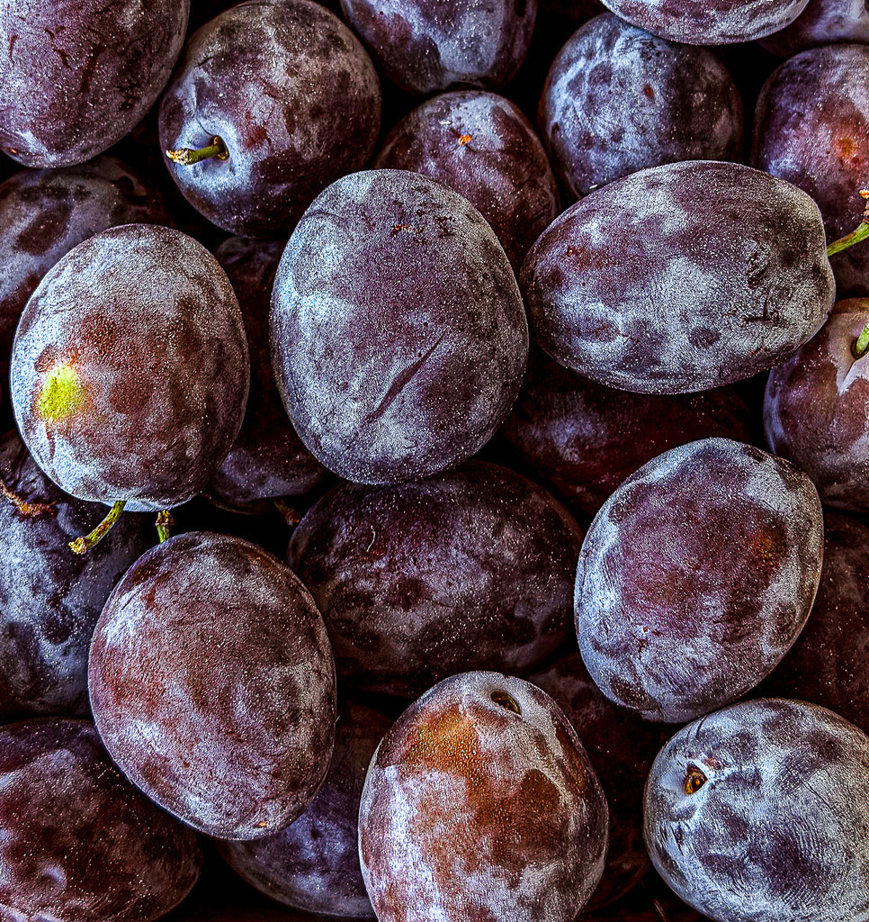 Samt und Seide: Makro-Textur reifer Pflaumen | Ein faszinierendes Meisterwerk der Makro- und Food-Fotografie, das die Natur von ihrer haptischsten Seite zeigt. Diese extrem detailreiche Nahaufnahme fängt die makellose Schönheit reifer Pflaumen ein. Das absolute Highlight ist der filigrane, weiß-blaue Naturschutzfilm (Wachsschicht) auf der Haut der Früchte, der im Licht wie feinster Samt schimmert. Der tiefe, edle Violettton der Früchte strahlt pure Saftigkeit aus und füllt den Raum mit einer warmen, herbstlichen Eleganz. Perfekt als Solitär oder als harmonisches 2er-Set mit unseren anderen Pflaumen-Motiven. Maximale Tiefenwirkung und Brillanz erzielt dieses Bild als High-End-Acrylglas-Print. - Realisiert mit Pictrs.com