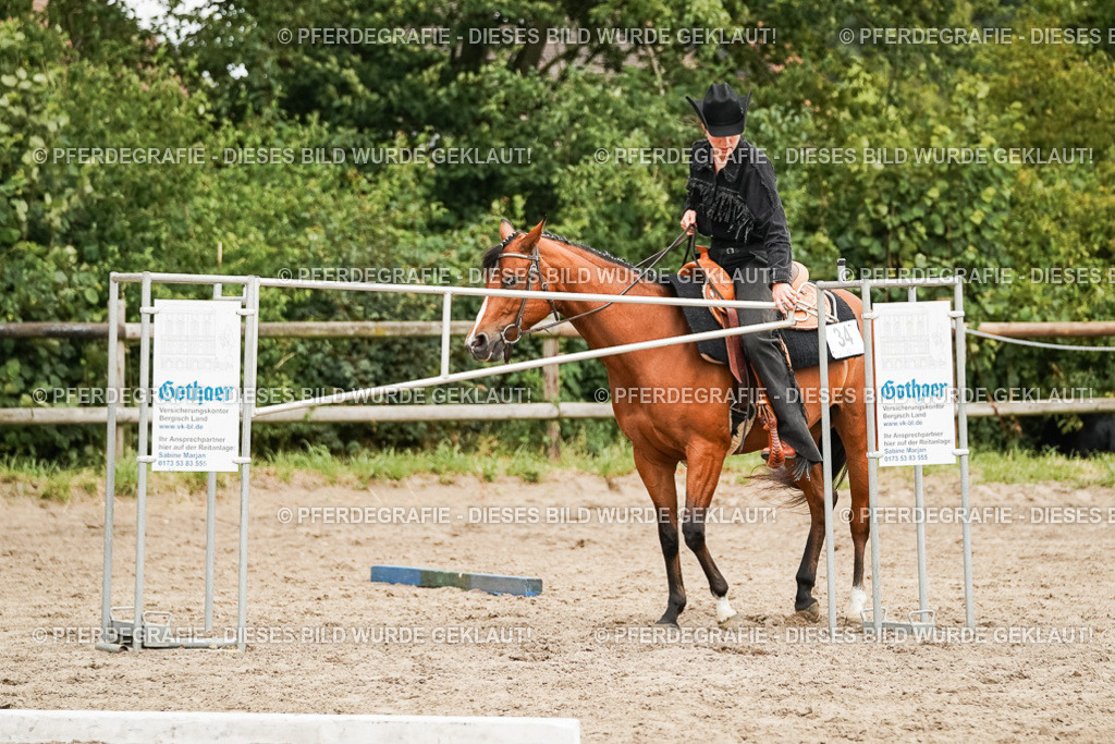 DSC08286 | Pferdegrafie