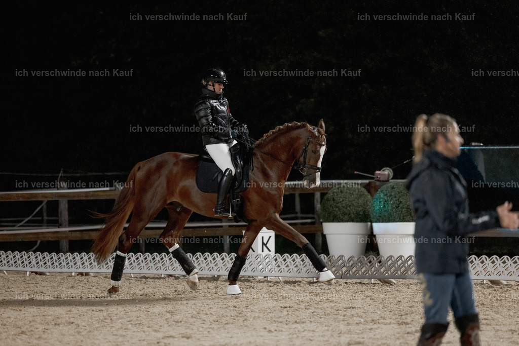 FHClassics-32 | working equitationturnier fotograf videograf stoibphotography marixx film working equitation deutschland reitsport turnierfotografie eventfotografie equestrian events