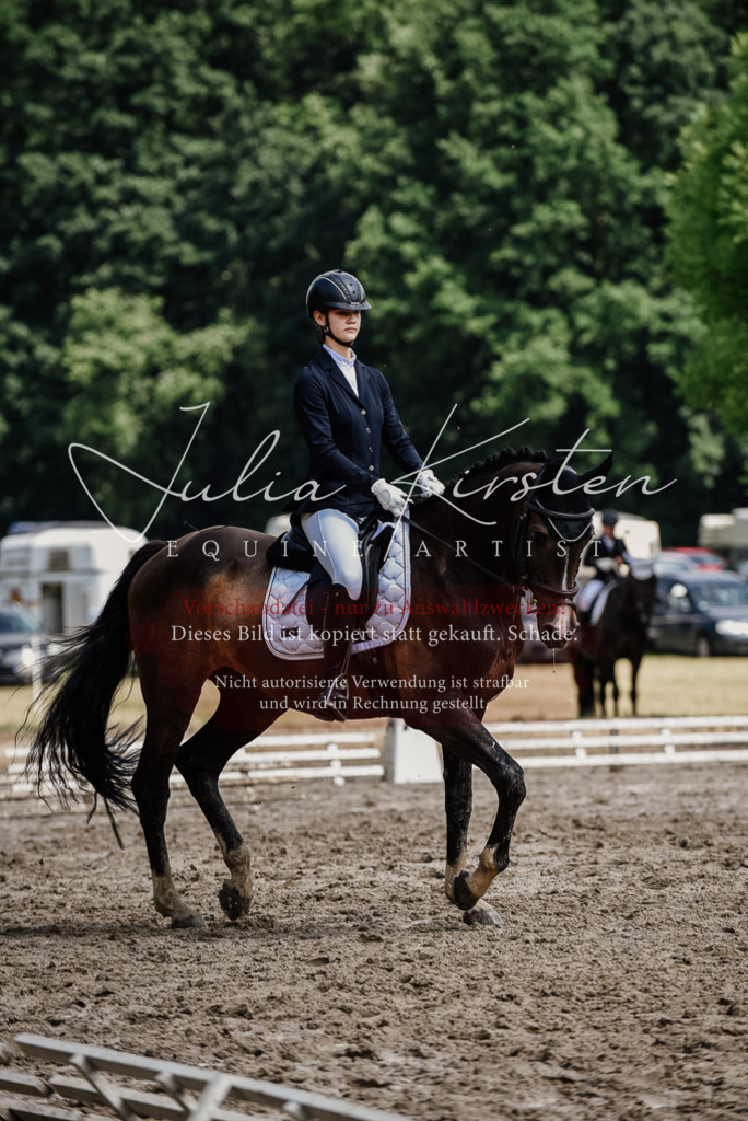 DSC_0837 | Pferde- und Turnierfotografie in Westsachsen. Pferdeportraits, Auftragszeichnungen und intuitive Kunst.