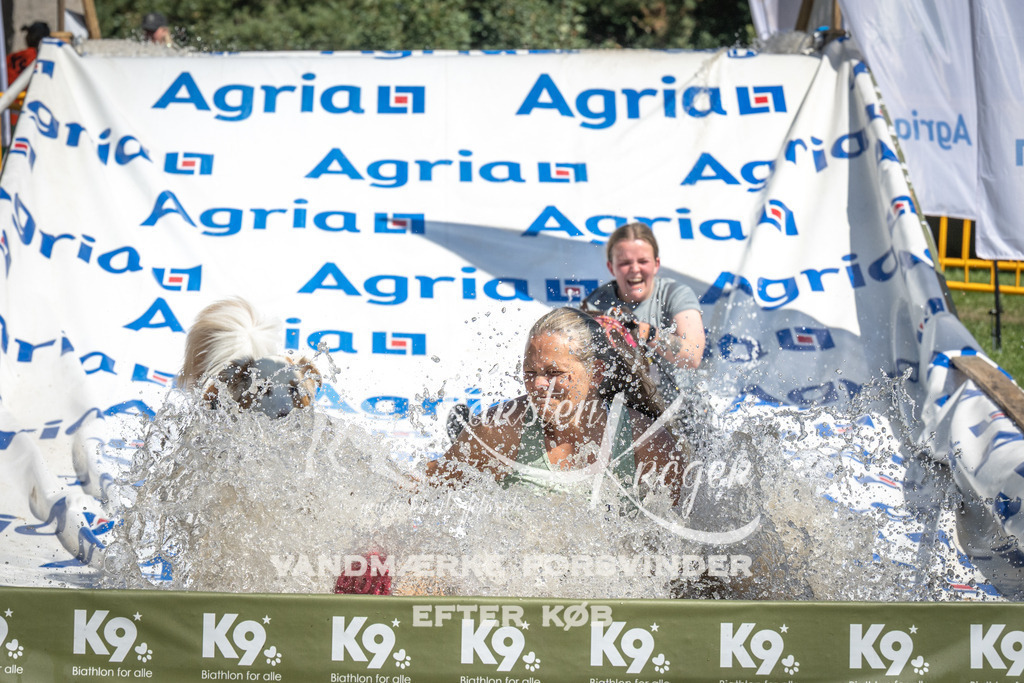 1302_ZZ98020 | kk-dogfotos