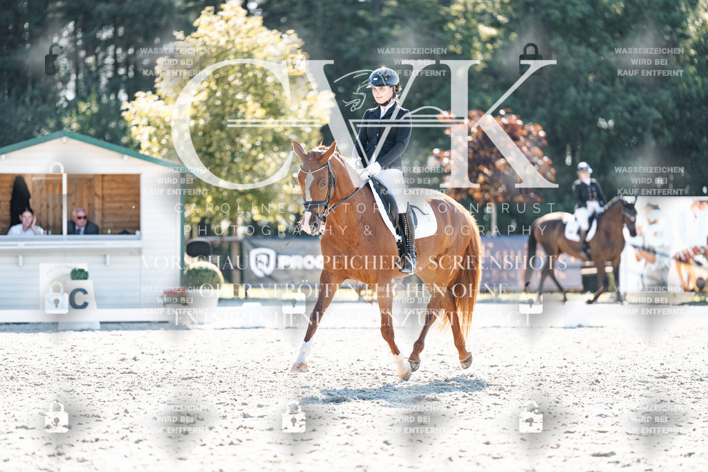 CK906046 | Turnierfotografie Pferdefotografie Trier Rheinland-Pfalz Pferdesport Reitsport Tierfotografie Sportfotografie Pferdevideo Pferdevideografie Equestrianvideography equestrianphotography  - Realisiert mit Pictrs.com