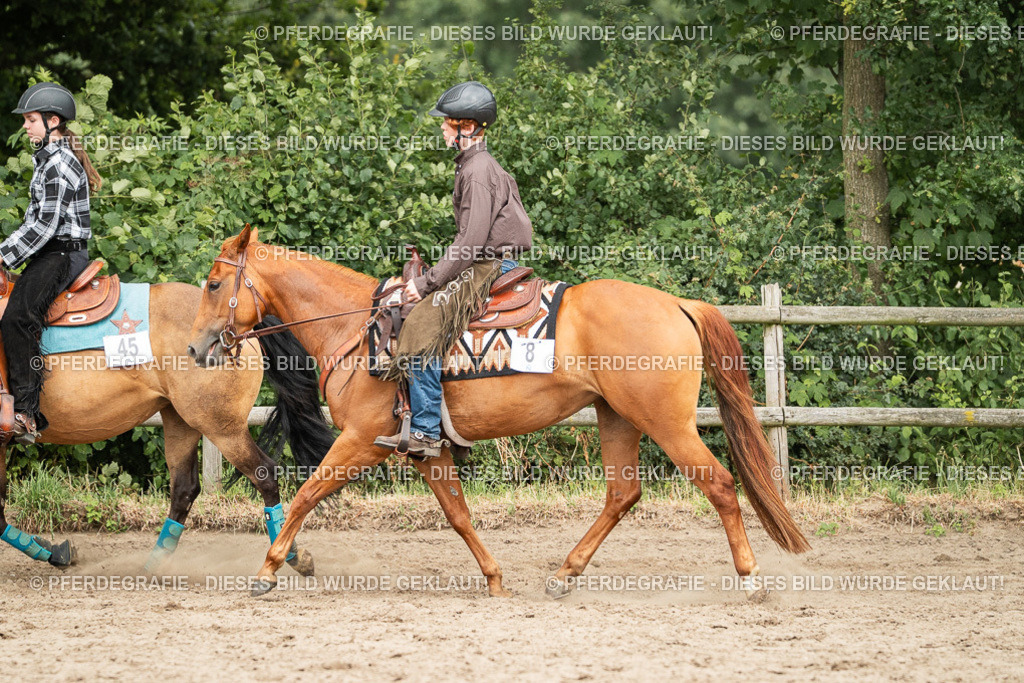 DSC03817 | Pferdegrafie