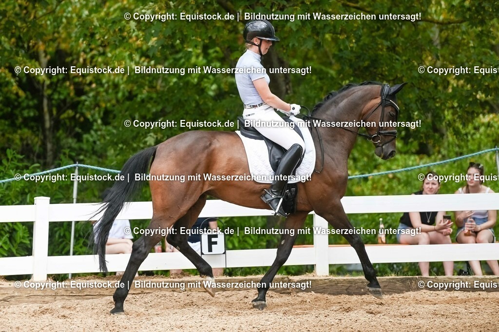 20230715_02_Dressurreiterprüfung Kl.L_0394 | equistock