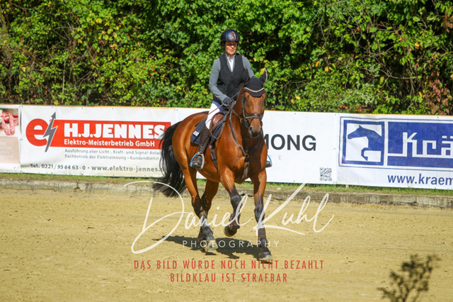 DKP42294 | Turniersportfotografie; Pferdefotografie; Dressurfotografie