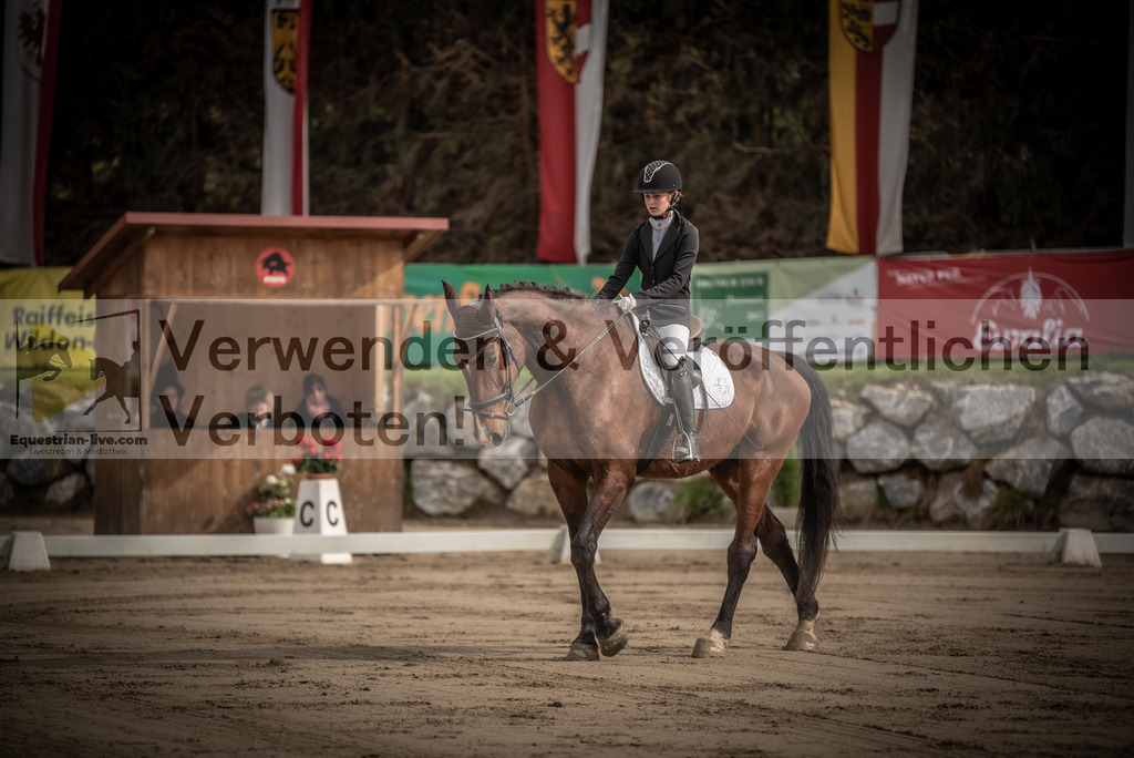 DSC_8294 | equestrian-live-com