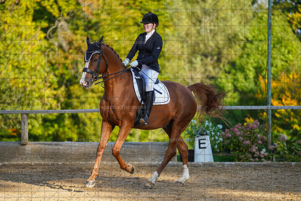 20221007-FAH00248 | Diessen am Ammersee, 2022, Dressur- und Springturnier, Reitsportbilder, Turnierfotografen Bayern, Pferdefotografen, Fotoagentur Herrmann, Turnierbilder