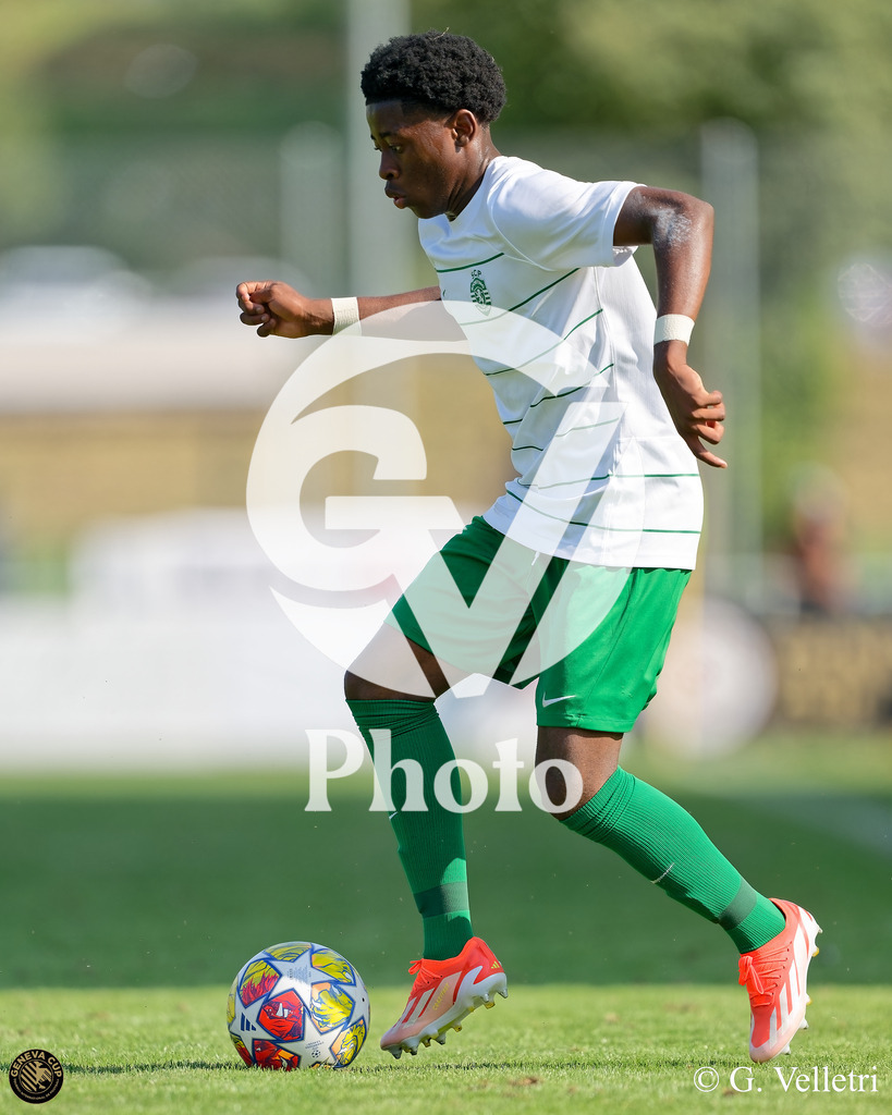 DZ9_6454 | Velletri Photo