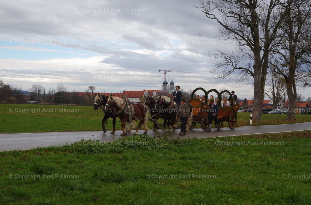IMGP9785 | fotografiert von Axel PollmannLeonhardi Wallfahrt Benediktbeuern und Murnau, Fronleichnam, Fasching, Landschaft im Loisachtal und Benediktbeuern  - Realisiert mit Pictrs.com