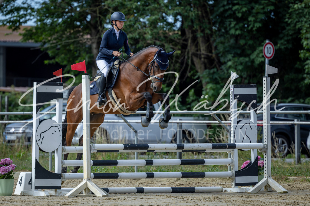 20260704-_3LI6819 | Tierfotografie Pferde, Hunde, Katzen, Haustiere.
Turnierfotografie Reitturniere, Reiten, Springreiten, Dressur in Hanau, dem Main-Kinzig-Kreis und dem Rhein-Main- Gebiet um Frankfurt