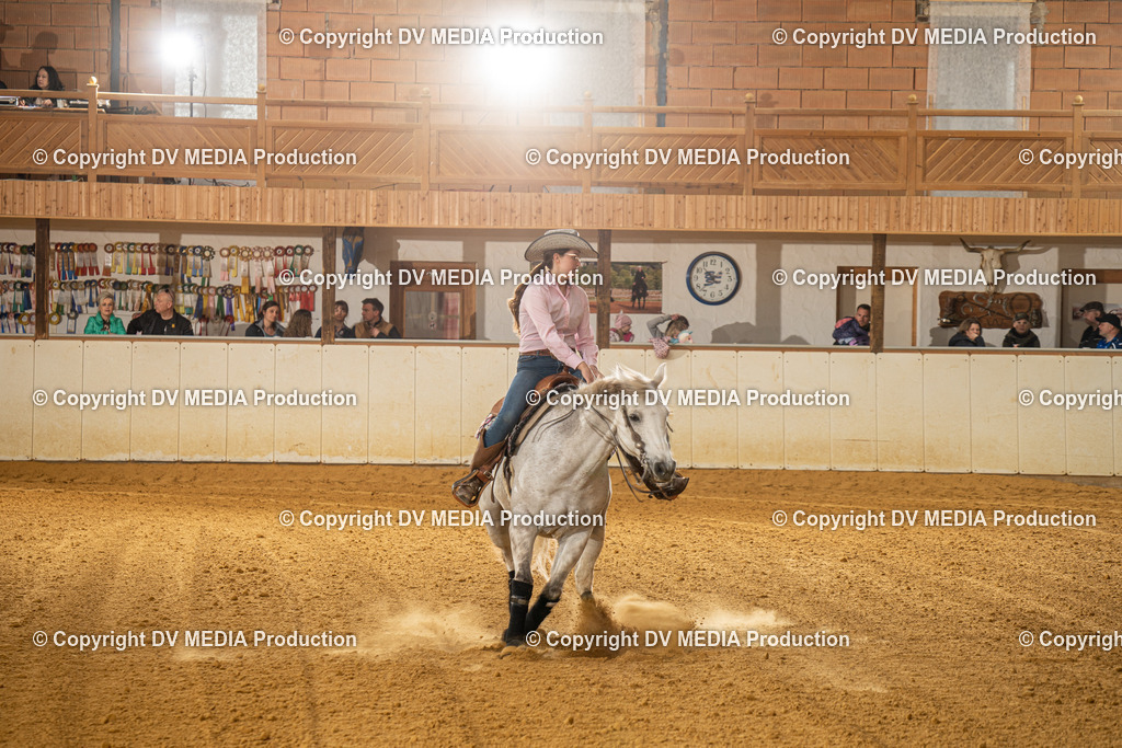 MIT00980 | dv-media-shop - Realisiert mit Pictrs.com