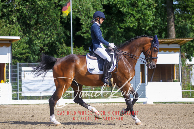 DKP41186 | Turniersportfotografie; Pferdefotografie; Dressurfotografie