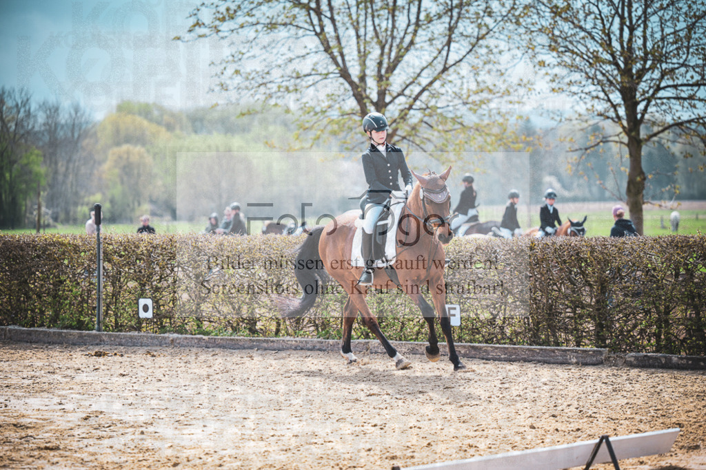 DOS_6346 | Entdecke hochwertige Reitturnierfotos von Foto Oger. Professionell, emotional und authentisch – jetzt Lieblingsmomente im Shop bestellen.Deutschlandweite Turnierfotografie. - Realisiert mit Pictrs.com