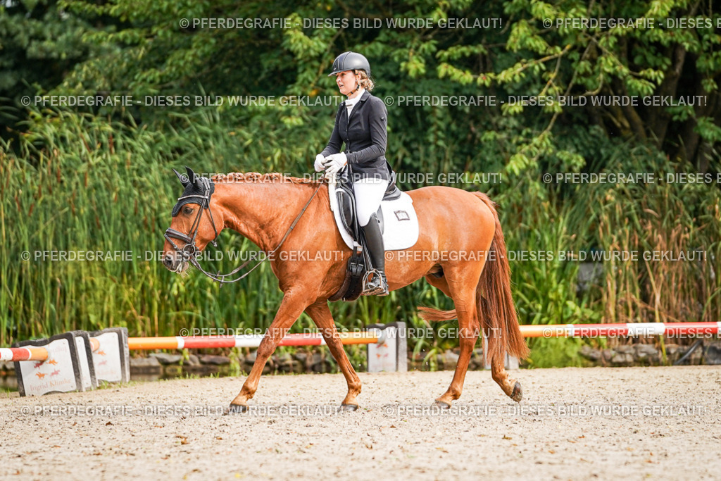 DSC01436 | Pferdegrafie