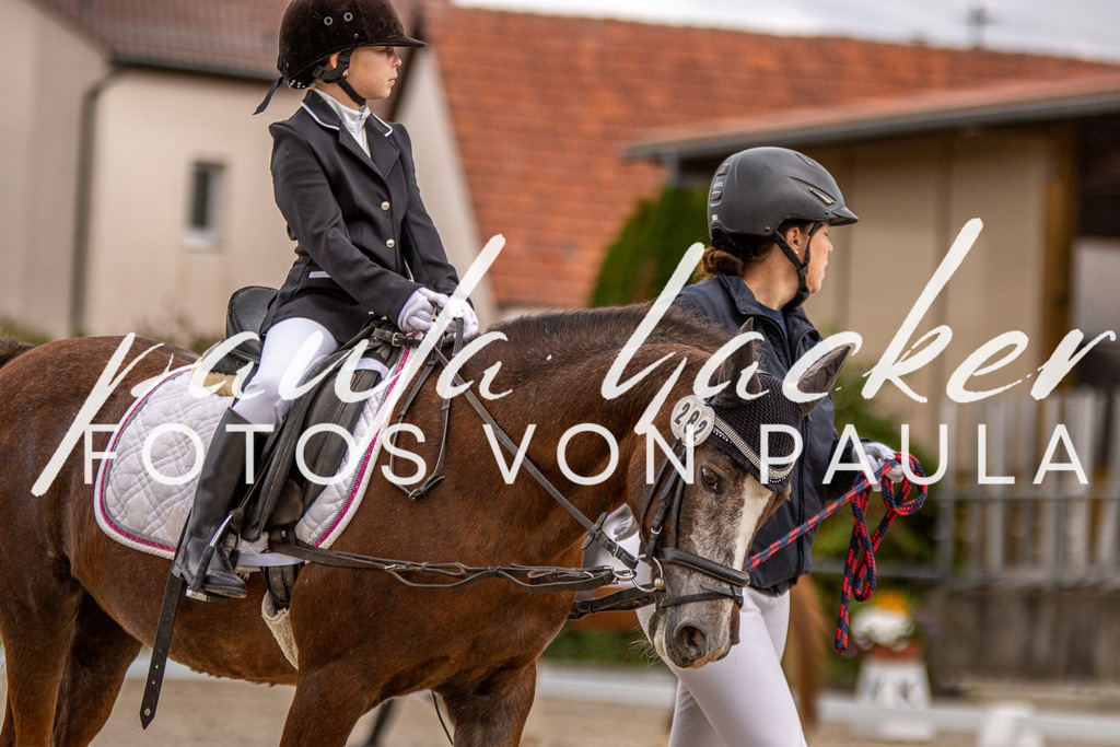 IMG_3886 | Erleben Sie dynamische Sport- und emotionale Tierfotografie in Süddeutschland mit Fotos von Paula. Spezialisiert auf Pferde- und Hundefotografie sowie Sportevents. Kontaktieren Sie mich für einzigartige und ausdrucksstarke Bilder Ihrer besonderen Momente. - Realisiert mit Pictrs.com