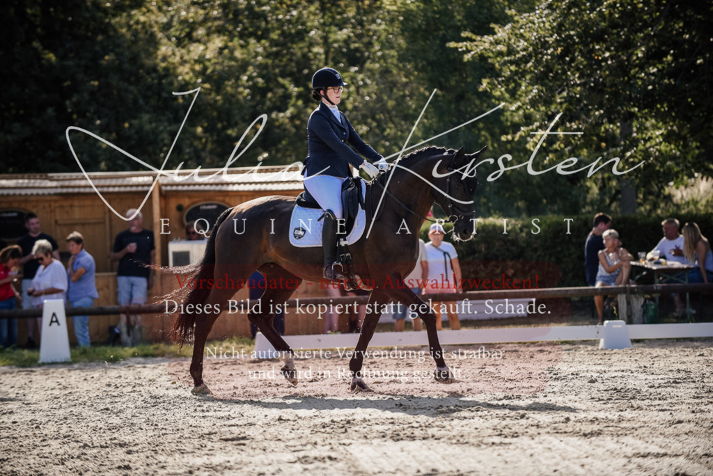 DSC_0547 | Pferde- und Turnierfotografie in Westsachsen. Pferdeportraits, Auftragszeichnungen und intuitive Kunst.