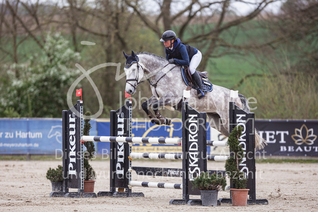 250417_Springpferde-L2-312 | Deine schönsten Turniermomente als professionelle Fotos! Entdecke hochwertige Pferdesport-Fotografie im Online-Shop. Jetzt Fotos finden & bestellen!