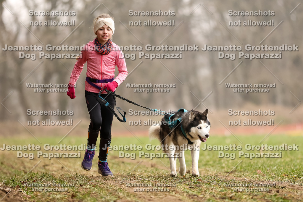 Dog Paparazzi - Plate 2026-109 | Dog Paparazzi Jeanette Grottendiek Fotografie & Videografie - Realisiert mit Pictrs.com