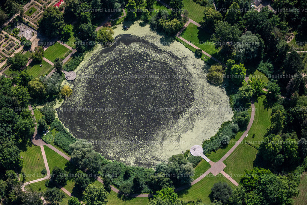 4035611 | BRAUNSCHWEIG 31.07.2020 Uferbereiche am Seegebiet des Dowesee in einem Waldgebiet an der Straße Doweseeweg im Ortsteil Siegfriedviertel in Braunschweig im Bundesland Niedersachsen, Deutschland. // Riparian areas on the lake area of Dowesee in a forest area in Brunswick in the state Lower Saxony, Germany. Foto: Gerhard Launer