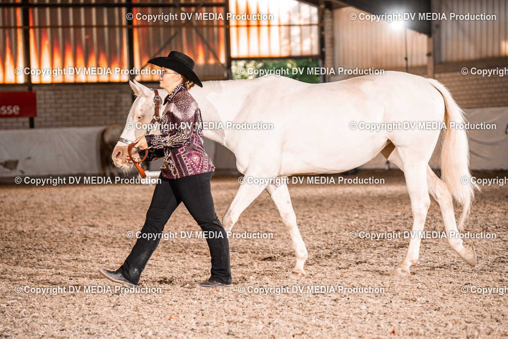 ZH100024 | dv-media-shop - Realisiert mit Pictrs.com