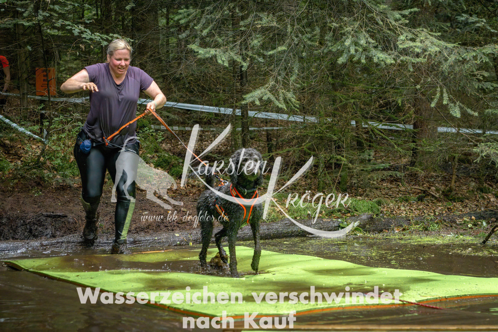 1536_ZZ91390-Bearbeitet | kk-dogfotos