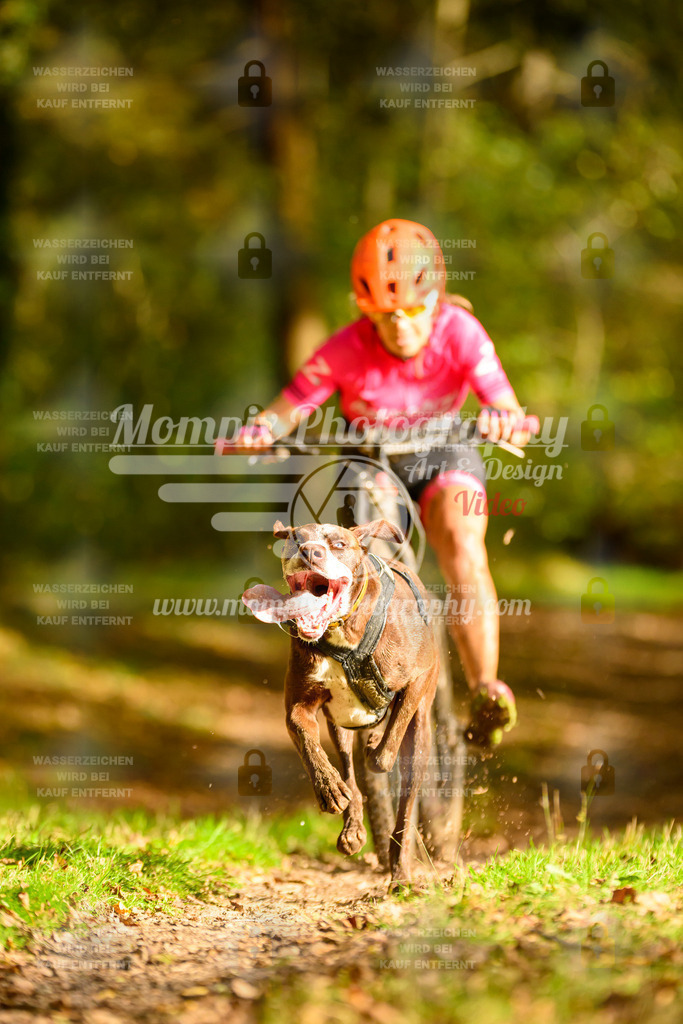 MompixPhotography_20TSB_E1_DS1-16 | PayLife