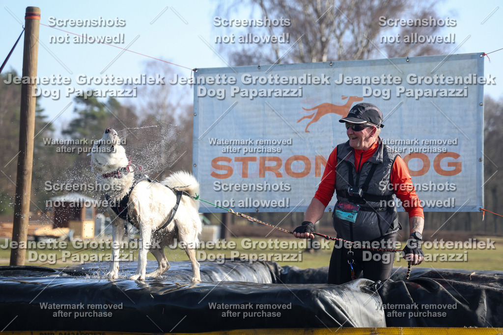 Dog Paparazzi - Strongdog North Mrz26-1231 | Dog Paparazzi Jeanette Grottendiek Fotografie & Videografie - Realisiert mit Pictrs.com