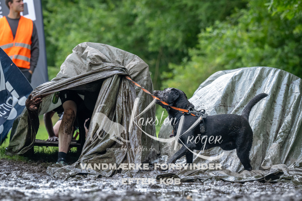 1138_ZZ93728 | kk-dogfotos