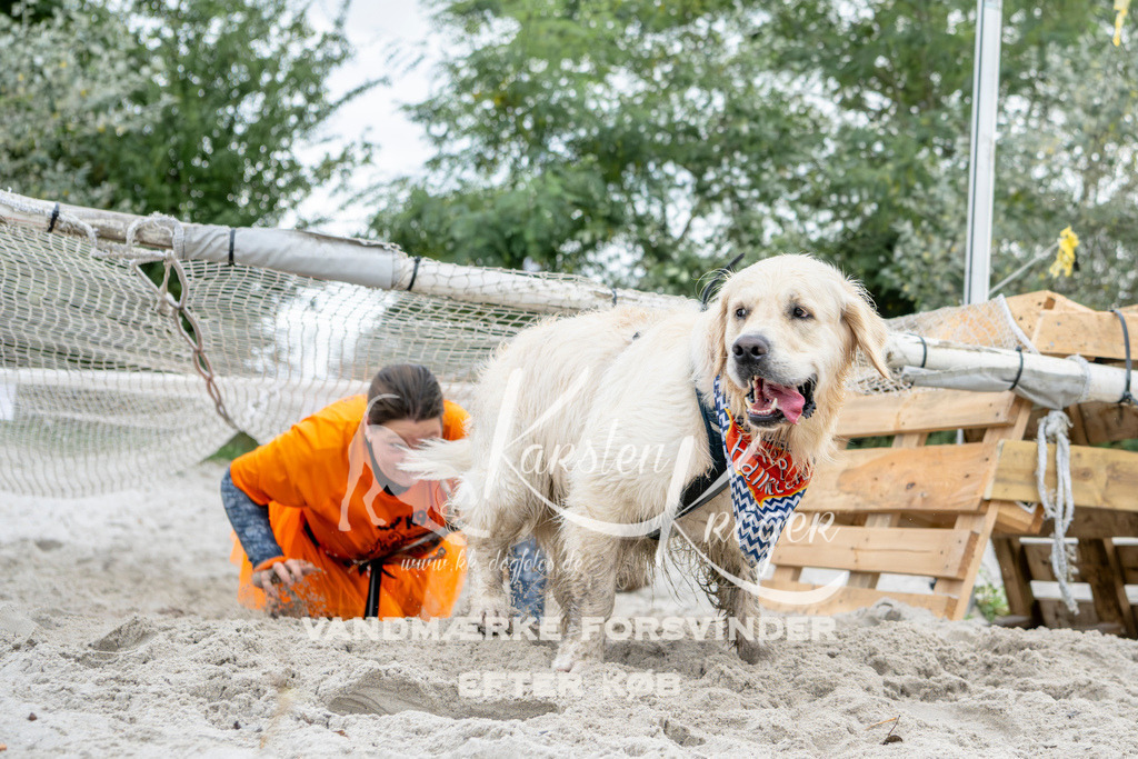 1539_ZZ96301 | kk-dogfotos