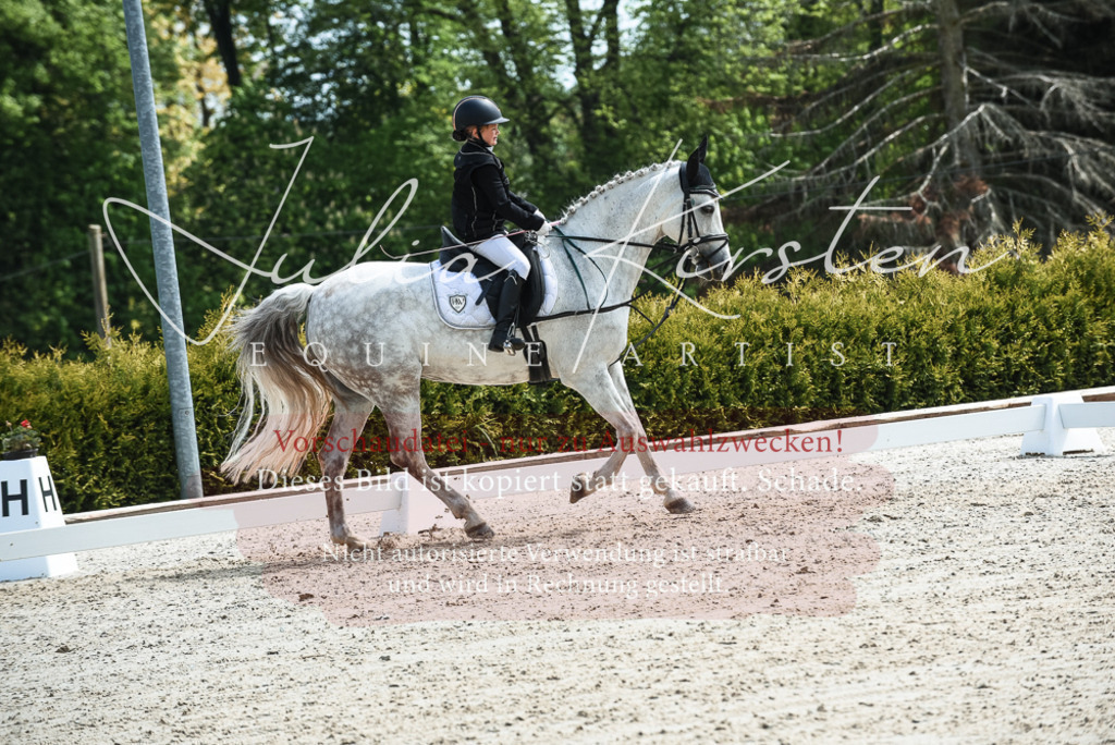 20230518_JK-Röhrsdorf-11-0459 | Pferde- und Turnierfotografie in Westsachsen. Pferdeportraits, Auftragszeichnungen und intuitive Kunst.