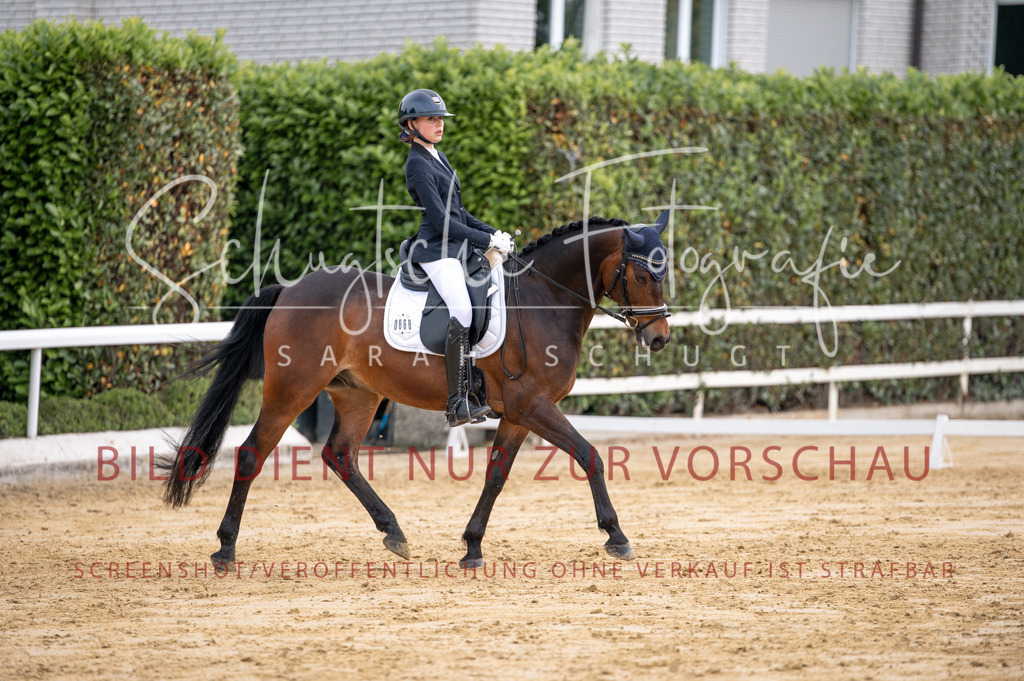 Schugtsche-Aluta25-40.DressurprfA_-256 | Schugtsche Fotografie - Realisiert mit Pictrs.com