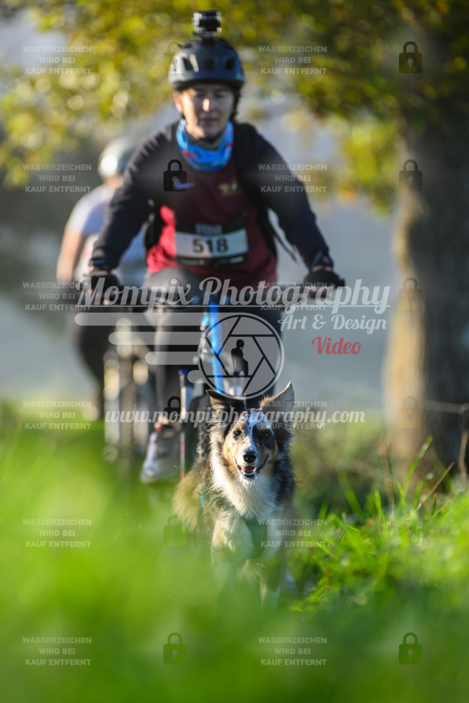 MompixPhotography_20TSB_E3_Bike-219 | PayLife
