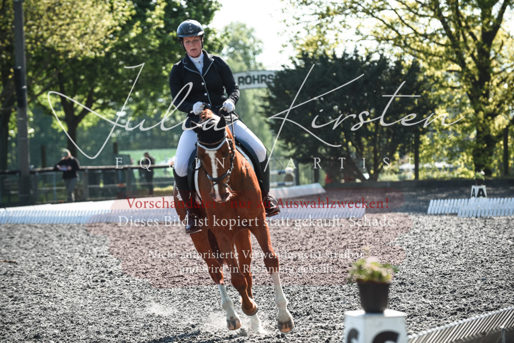 DSC_8751 | Pferde- und Turnierfotografie in Westsachsen. Pferdeportraits, Auftragszeichnungen und intuitive Kunst.