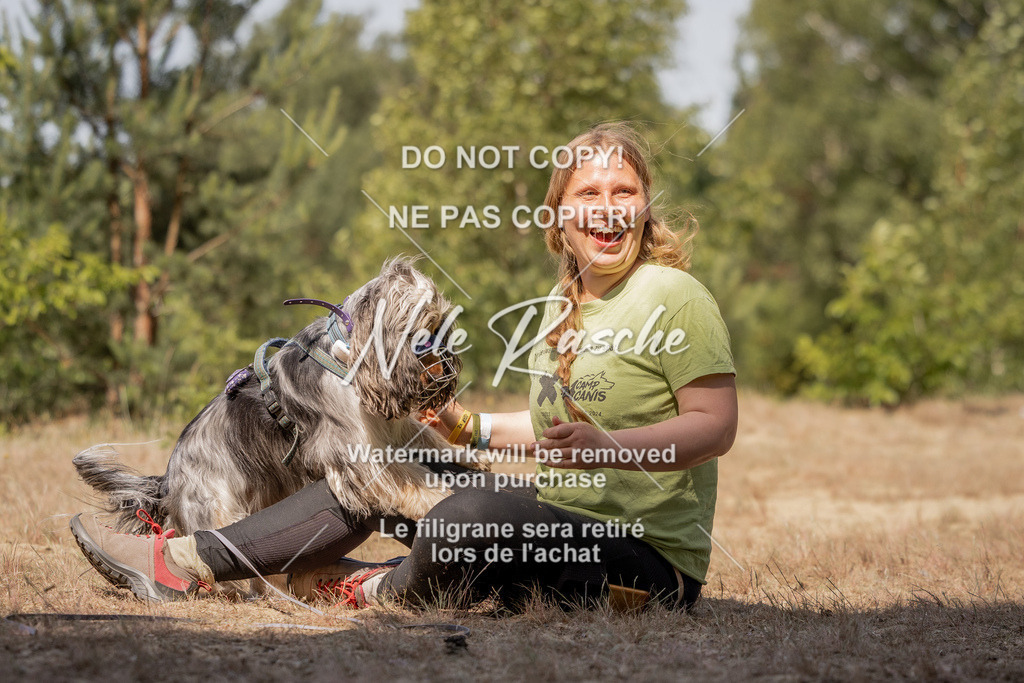 nelerasche_soDD2_372 | nelerasche