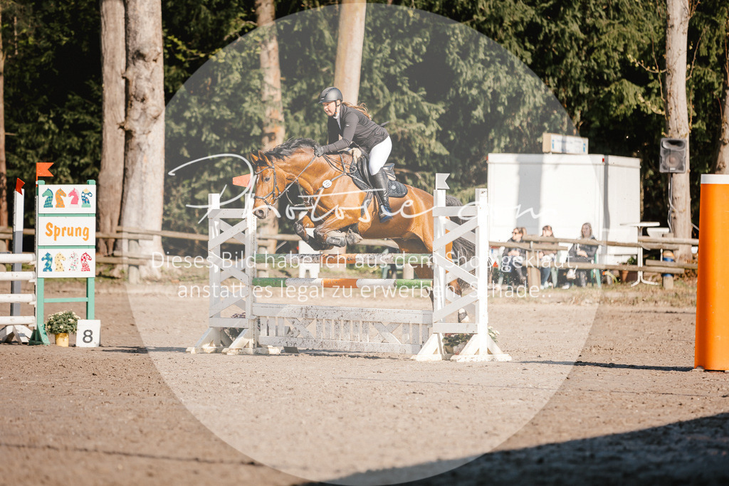 3I6A3593 | Stimmungsvolle Portraits und Reitsportfotografie im Ruhrgebiet und im Münsterland.

Pferdefotografie, Hundefotografie, Tierfotografie, Reportagen, Portraits von Tier und Mensch, Turnierfotografie in Bochum, Recklinghausen, Marl, Haltern am See, Dülmen.. - Realisiert mit Pictrs.com