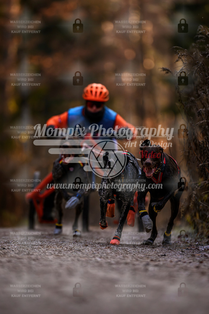 MompixPhotography_DM_AKDM_SO_2025_Wagen-36 | PayLife