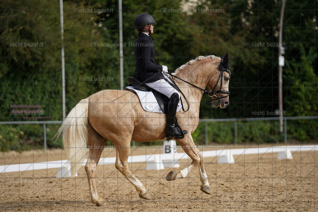 20240825-FAH00399 | Turnierbilder, Reitsportfotos, LAPO, Landesponyturnier, Turnierfotografen Bayern