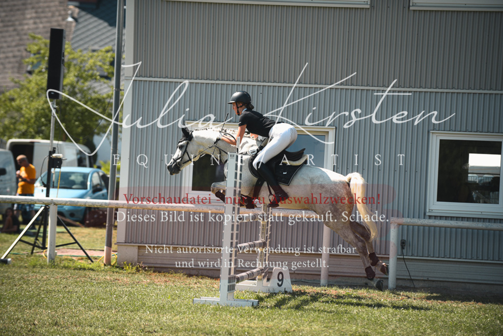 DSC_6896 | Pferde- und Turnierfotografie in Westsachsen. Pferdeportraits, Auftragszeichnungen und intuitive Kunst.