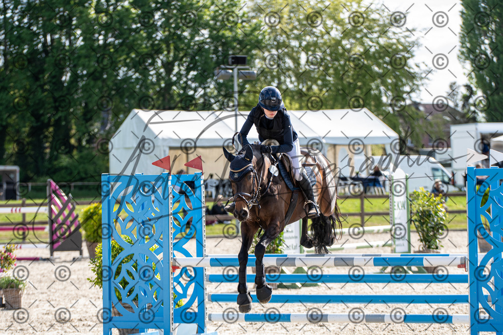 KPT_4627 | andre_photographic