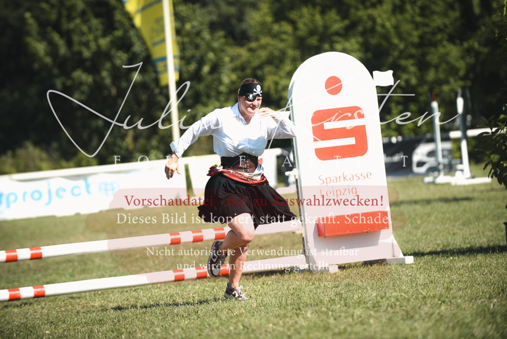 DSC_7417 | Pferde- und Turnierfotografie in Westsachsen. Pferdeportraits, Auftragszeichnungen und intuitive Kunst.