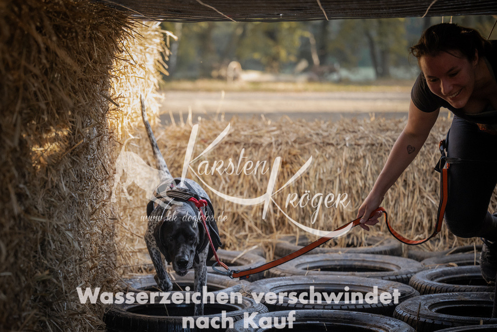 0957_ZZ95780 | kk-dogfotos