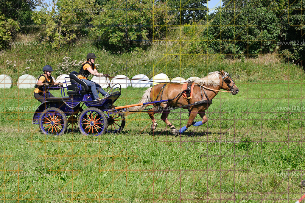 30 Jahre RFV Pulsnitz e.V., Pulsnitz am 09.08.2026 | 30Jahre Reit- und Fahrverein Pulsnitz e.V., Pulsnitz am 08.08.2026Zur 28. breitensportlichen Veranstaltung des RFV Pulsnitz e.V. fanden verschiedene Wettbewerbe in nahezu allen Disziplinen des Pferdesport statt.- Geländefahr-Wettbewerb - Realisiert mit Pictrs.com