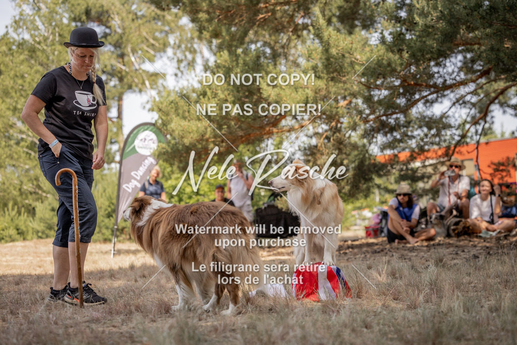 nelerasche_soDD2_142 | nelerasche