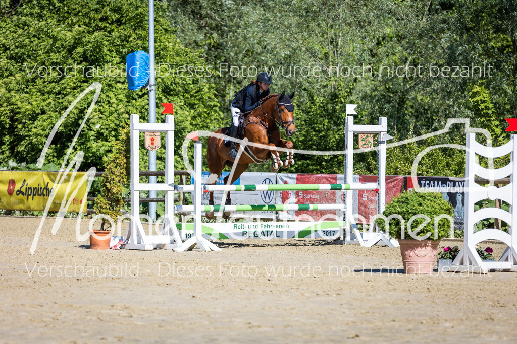 Donop24-A2Spr-089 | MomenTaufnahmen Pferdesportfotos