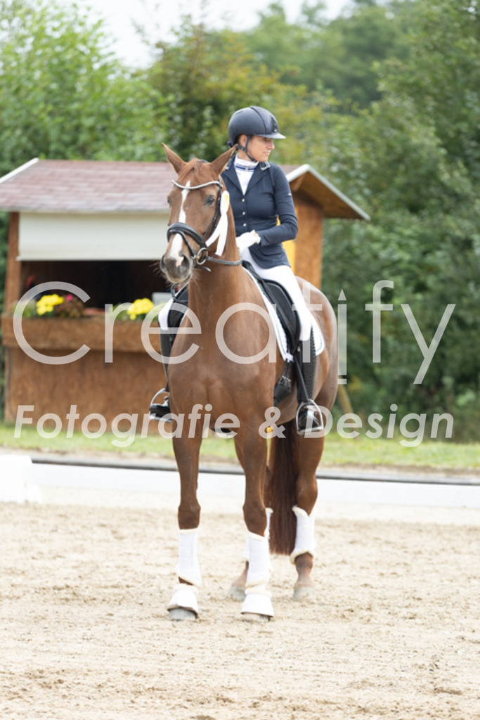 IMG_4641 | Creatify Fotografie