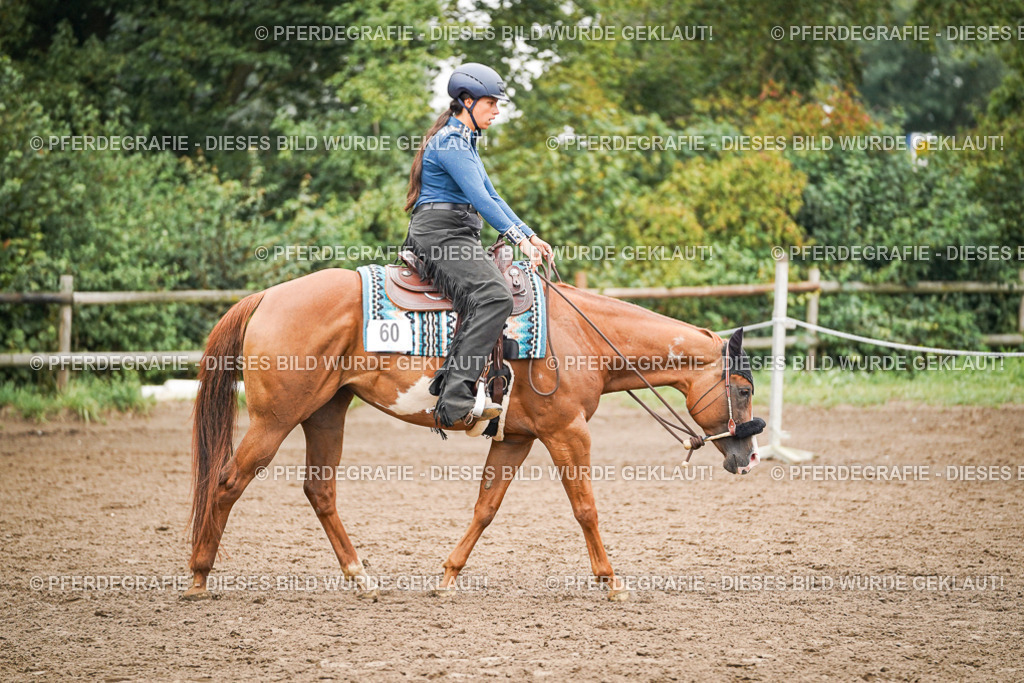 DSC02307 | Pferdegrafie