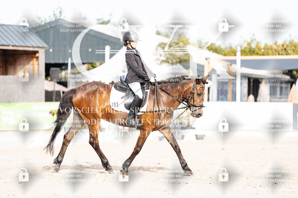 CK904775 | Turnierfotografie Pferdefotografie Trier Rheinland-Pfalz Pferdesport Reitsport Tierfotografie Sportfotografie Pferdevideo Pferdevideografie Equestrianvideography equestrianphotography  - Realisiert mit Pictrs.com