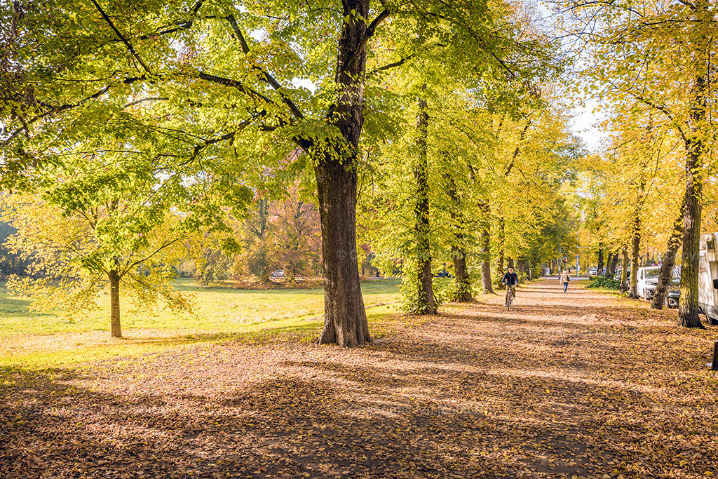 _DSC8020 | Leipzig Wandbilder Drucke Prints Leinwand Stadtmotive Leipzig Fotosdruck Kunstdrucke Bilder Leipzig Stadtansichten Acrylglasbilder Leipzig Wanddeko Fine Art Prints Wandbilder Büro Leipzig Bilder Praxis Zuhause Bilderdruck Poster Posterlounge Kunstdrucke - Realisiert mit Pictrs.com