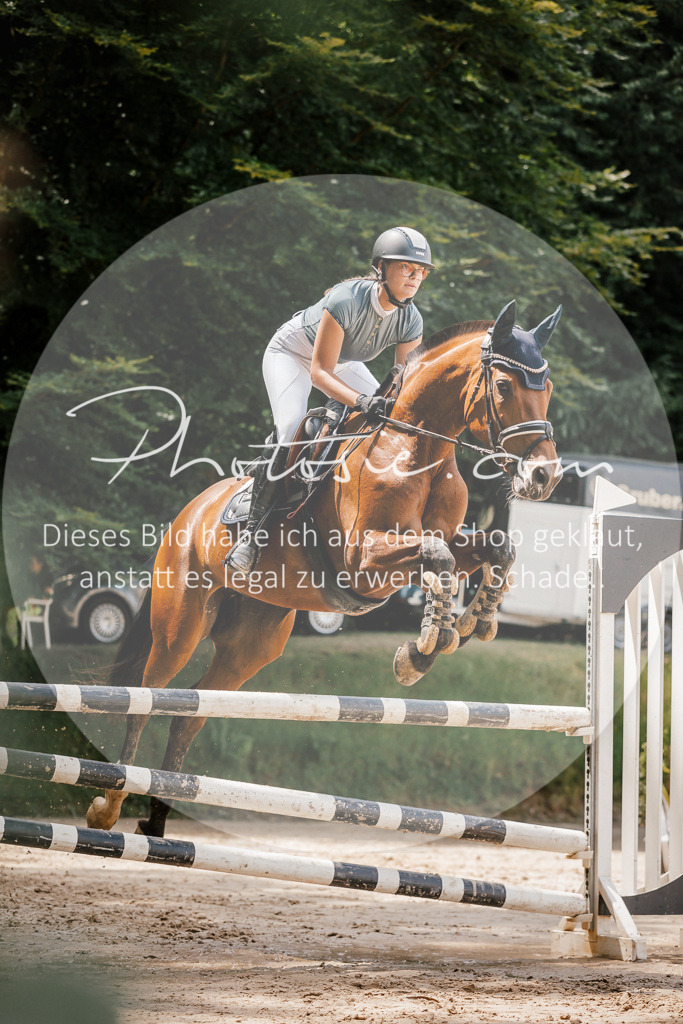 3I6A8021 | Stimmungsvolle Portraits und Reitsportfotografie im Ruhrgebiet und im Münsterland.

Pferdefotografie, Hundefotografie, Tierfotografie, Reportagen, Portraits von Tier und Mensch, Turnierfotografie in Bochum, Recklinghausen, Marl, Haltern am See, Dülmen.. - Realisiert mit Pictrs.com
